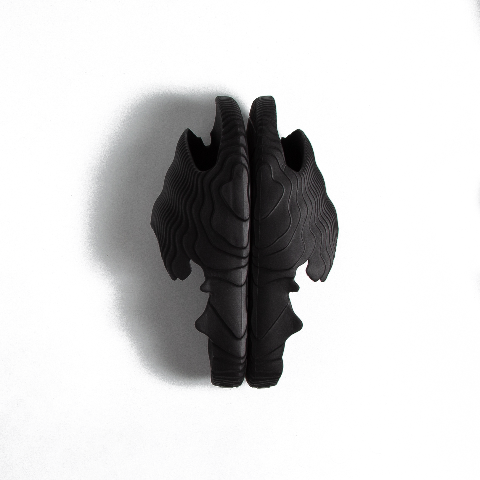 AURACLES2slides